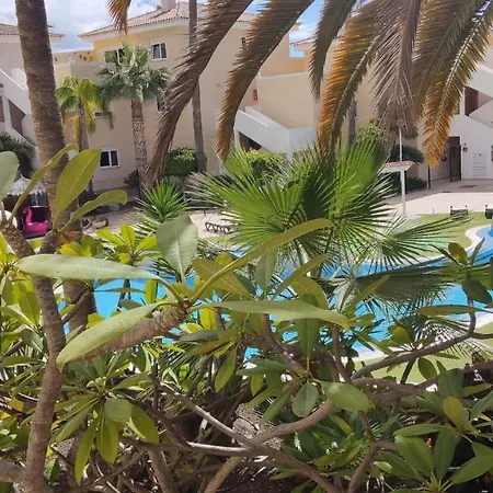 Apartment Paraiso, Tenerife Sur